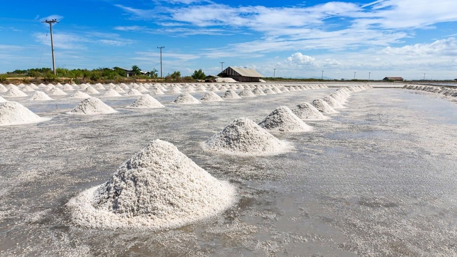 Salt heaps on the salt pans